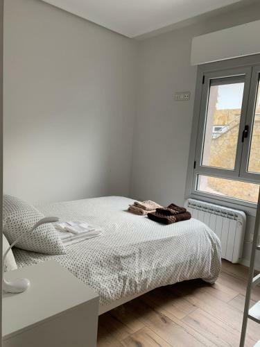 Apartamento San Sebasti�n Fresh !! Vivienda & Terraza
