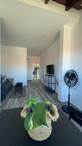 Apartamento Las Mesas House Ocean Escape