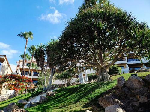 Spacious Apartment With Private Garden In Tenerife South