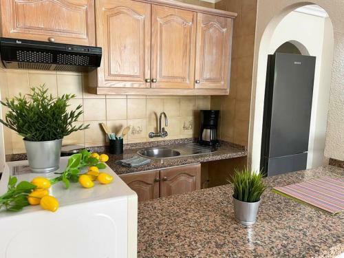 Apartamento Aqua - Tropical Dream - Oceanfront