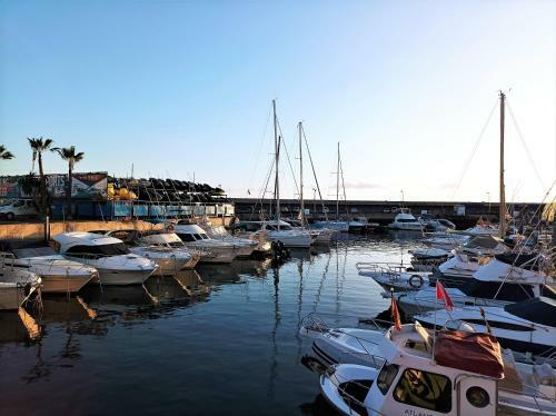 Villa Joy Tenerife Charming House