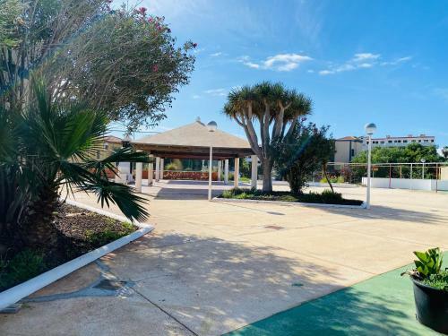 Apartamento Estudio El Colibr�