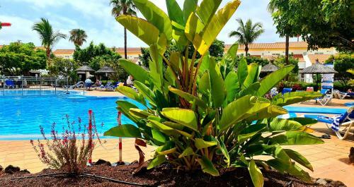 Sunningdale Village Golf Del Sur