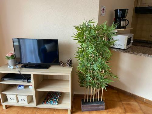 Vive Rie Ama Tenerife - 2 Bedroom Apartment