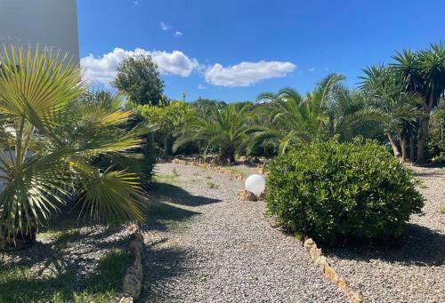 Casa Mamita Ibiza