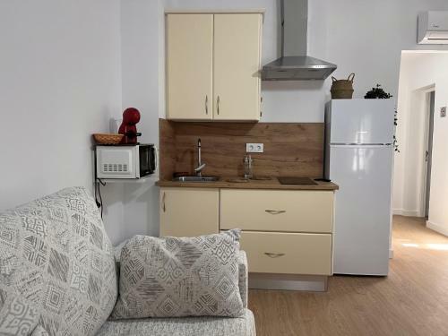 Apartamentos Larios Centro