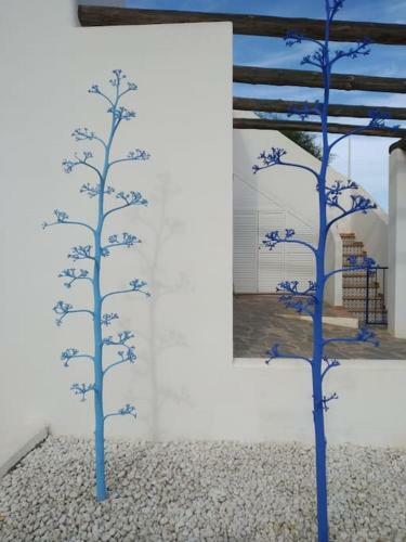 Mirador La Pita Azul