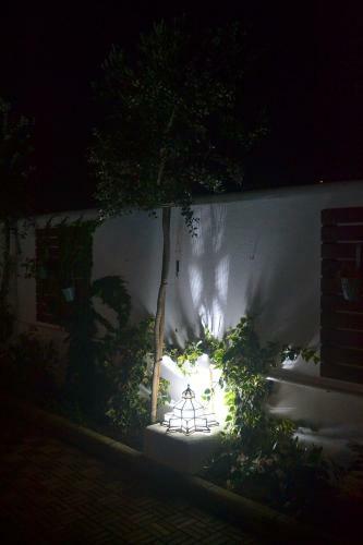 Chalets En Sancti Petri
