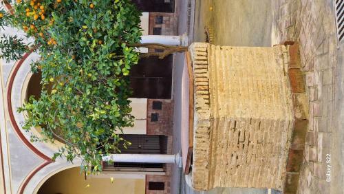 Apartamento Residencial Victoria Centro