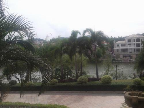Phoenix Hotel Wuyi