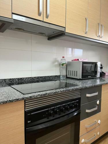 Apartamento Terraza Del Montsi�