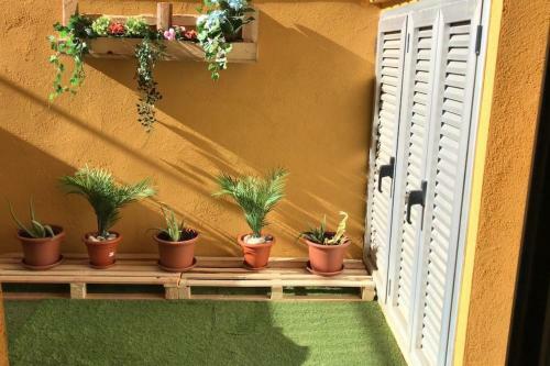 Apart. En 1ra L�nea+pkg Privado