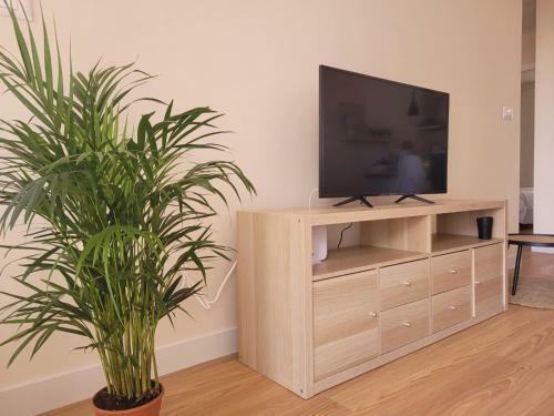 Apartamento Teodoro