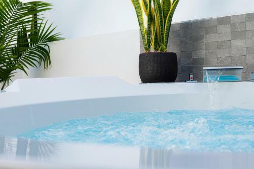 Apartamento Laguna Home & Suites