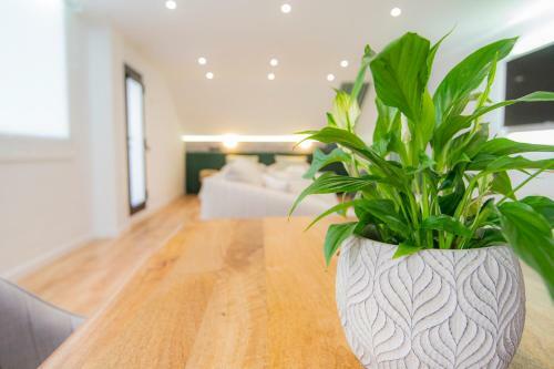 Apartamento Laguna Home & Suites