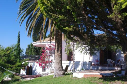 Villa House In Andalucia, Spain
