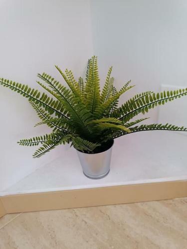 Apartamento Duplex Con Piscina En Rub�
