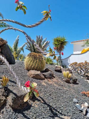 Apartamento Casa Ina In El Roque, El Cotillo