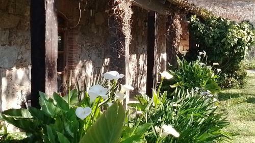 El Refugi Platja D'aro Casa Turistica