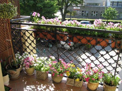 Patio Mare Apartament Amber
