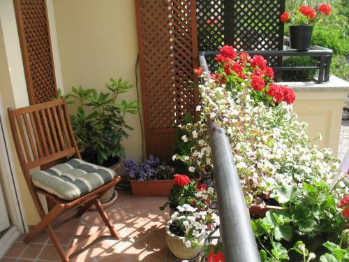 Patio Mare Apartament Amber