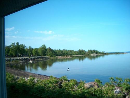 Carolyn Beach Motor Inn