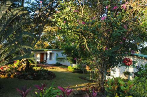 Hotel La Rosa De America