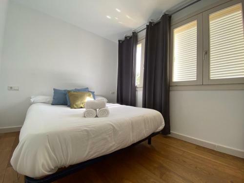 Apartamentos Ceo Ciudad