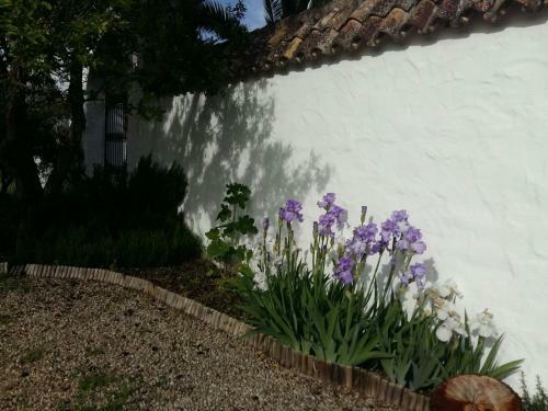 Villa Beautiful Cortijo With Pool Near Ronda