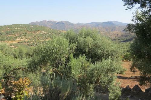 Villa La Molina Del Olivar - Peaceful Location