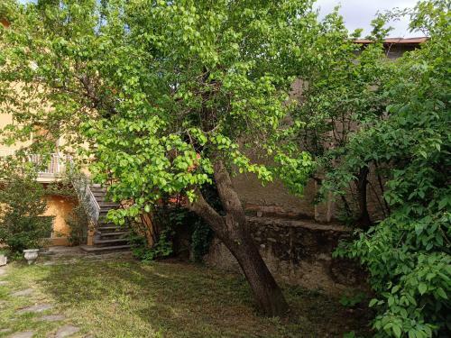 Apartamento El Jard� De Can Prat