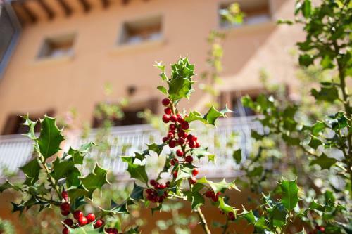Apartamento El Jard� De Can Prat