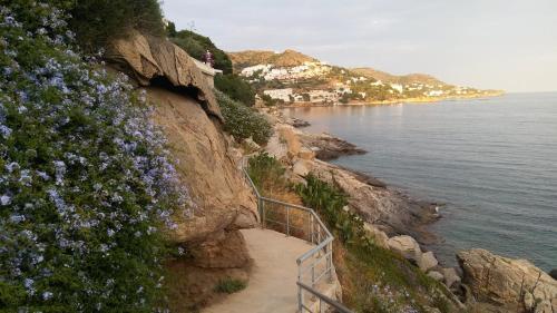 Apartamento Fonoll Mar� - Roses Far