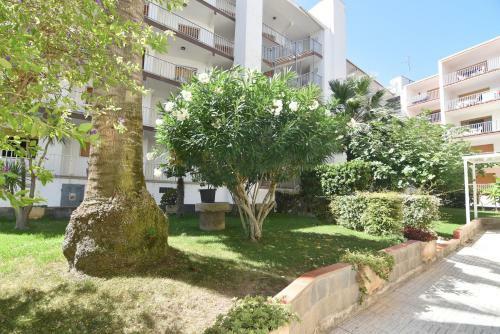 Apartamento Rnet - La Solana 68