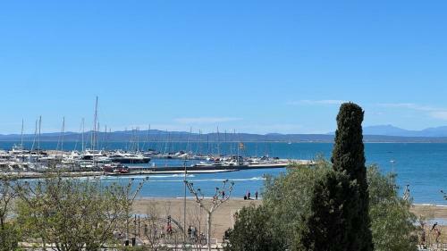 Apartamento Frente Al Mar Roses