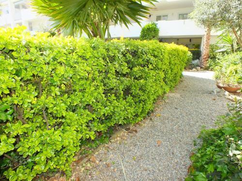 Apartamento Roses, 2 Dormitorios, 5 Personas - Es-204-47