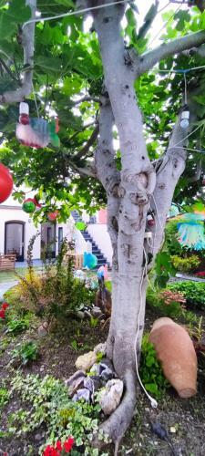 Hostel Namor
