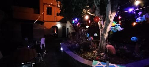 Hostel Namor
