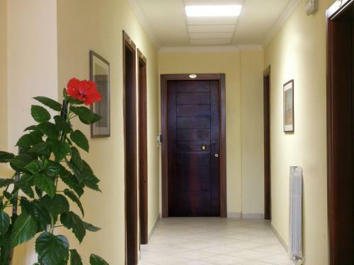 Apartment I Soli Che Girano Torre Pedrera
