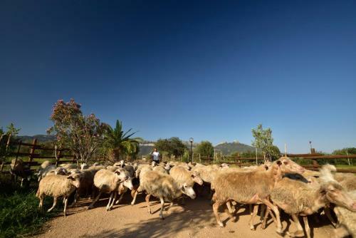 Agroturismo I Mandorli