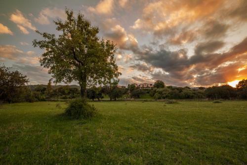 Agroturismo I Mandorli