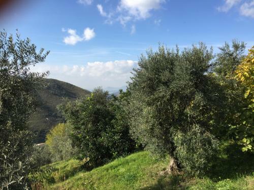 Agroturismo I Giardini Di Margius