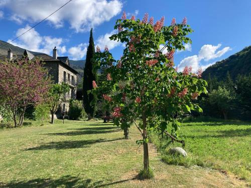Apartamento El Cau De Cal Quimet