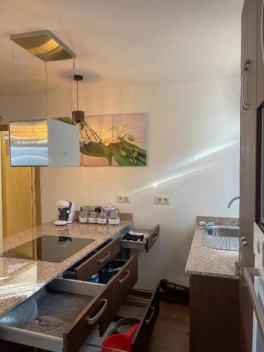 Apartamento Vista C�es