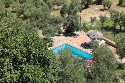 Apartamento Casas Rurales Cortijo El Marqu�s