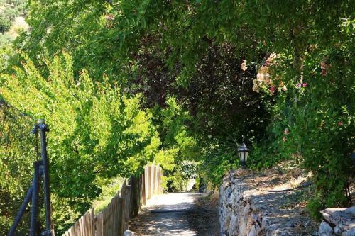 Apartamento Casas Rurales Cortijo El Marqu�s