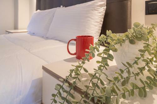 Apartamento Atic Saltegat