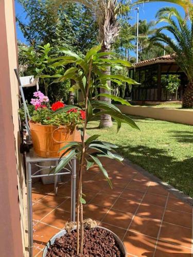 Preciosa Casa Con Jard�n Privado