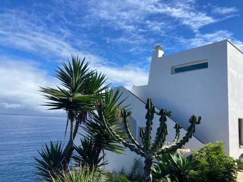 Apartamento Villa Oasis La Paz - Pelinor Studio - Adults Only