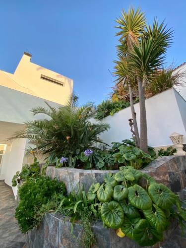 Apartamento Villa Oasis La Paz - Pelinor Studio - Adults Only